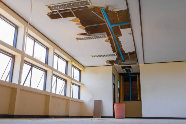 Best 24-hour water damage restoration  in Brownsville, LA