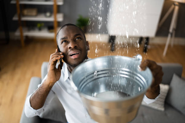 Best Water damage restoration near me  in Brownsville, LA