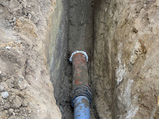 Best Basement water damage restoration  in Brownsville, LA