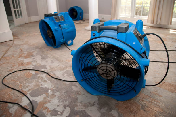 Best Flooded house restoration  in Brownsville, LA